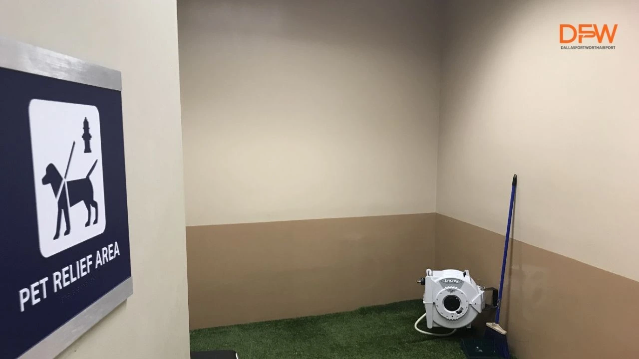 DFW Airport Pet Relief Area: Location, Laws, and Wag Hotels